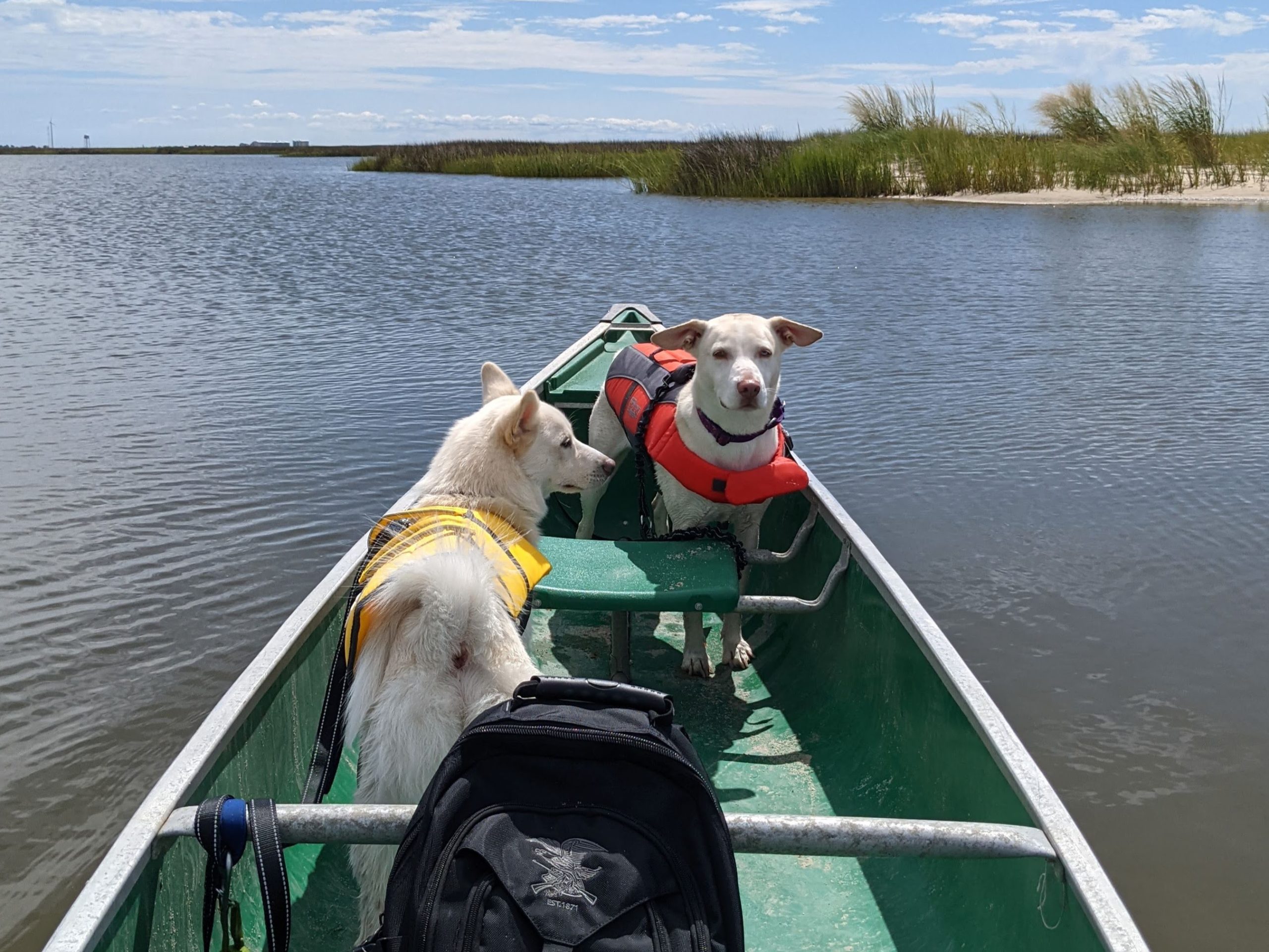 Trip Report: 2021-09 Janes Island State Park, MD