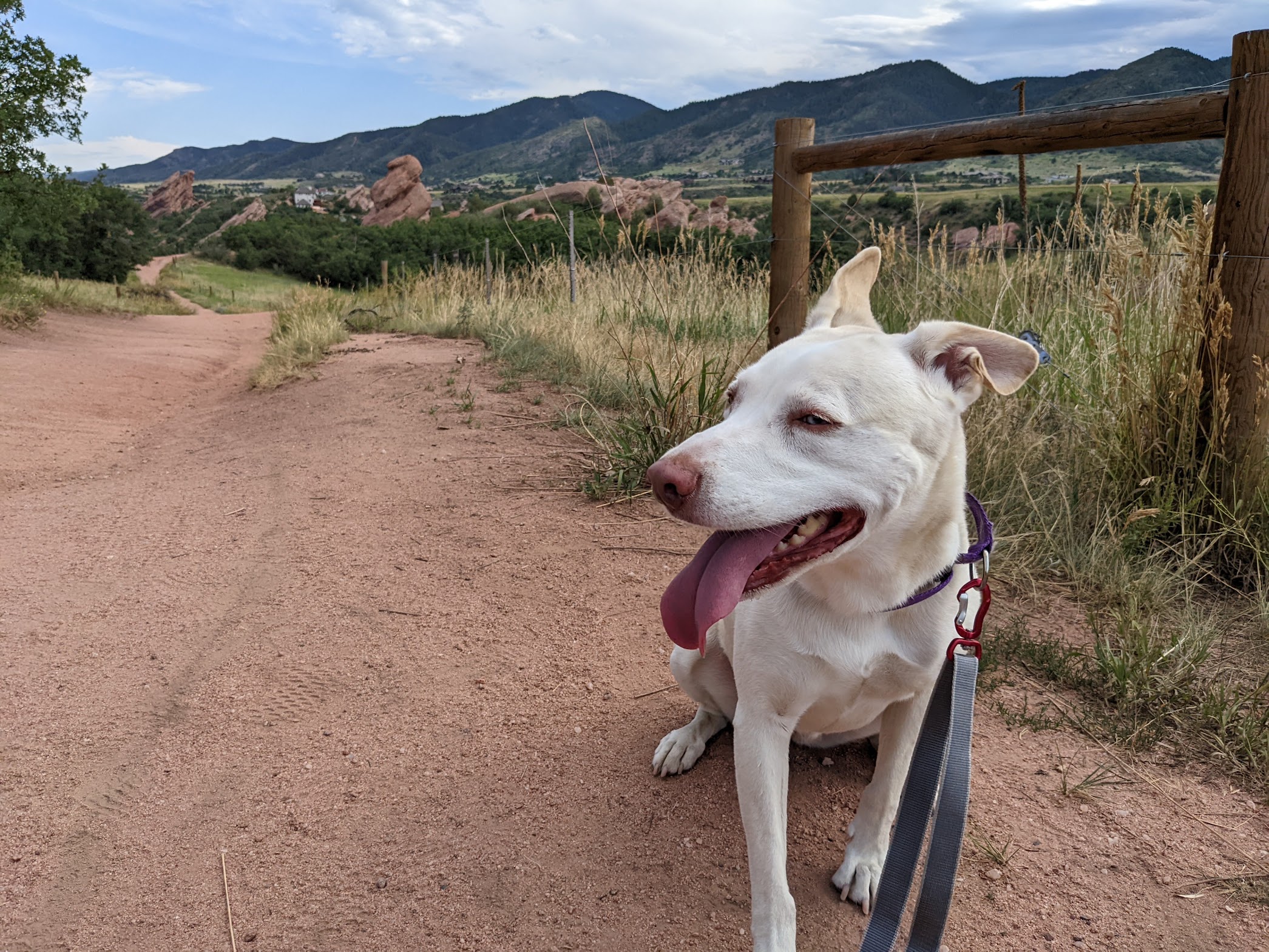 Mud Doggo Posing on the Coyote Song Trail